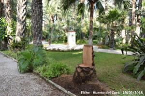 19 ELCHE HUERTO DEL CURA (132)